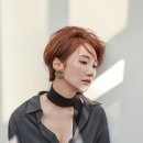 신진컴퍼니 이미지