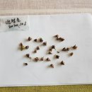 천포민박 네이버블로그