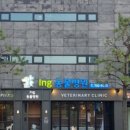 아이앤지동물병원 이미지