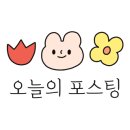 박찬환수제족발 이미지