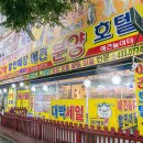 애견용품 창고형 할인매장 이미지
