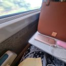 퐁낭뜰 | 한국전력기술 일경험 인턴 후기