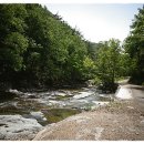 임기 지장암 이미지