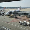 치바위 | 일본 도쿄 여행기 - 3박 4일 (한국 출국, 치바, 한국 입국) (데이터 주의)