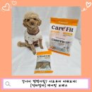 다이아몬드 유통 강아지 사랑 | 강아지 기관지 케어 사료 추천 - [닥터맘마] 케어핏 브레스 사료 급여 후기