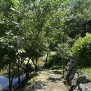 산골쉼터민박 이미지