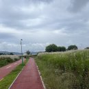 태형안전 | 태화강 억새군락지 | 울산 북구 명촌동 가을 산책코스, 억새길 따라 걷는 여유로운 시간