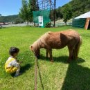 동막공원 이미지