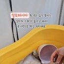 폼나개 이미지