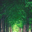 큰맘할매순대국 영월남면점 이미지