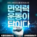 K용인대 태권도장 이미지