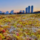 우리가족 정원 만들기 이미지