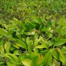 한진농장 2 이미지