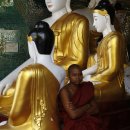 미얀마 5차 여행기 제8편 양곤(마지막 회) 이미지
