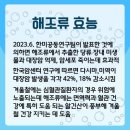 대표 알칼리 식품 &#39;해조류 효능&#39; 이미지