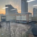 용인대 팔달 태권도장 이미지