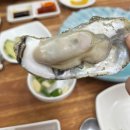 이까야 | 남포동 맛집 이까야 오징어회 후기