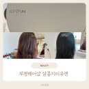 살롱 지이유엔 이미지