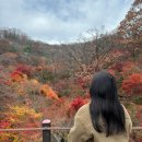 화담 헤어 | 망원역 미용실 에이바헤어 하오니코 클리닉 후기