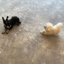 라이프 오브 라일리(Life of Riley) 이미지