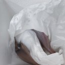 생생울산참가자미