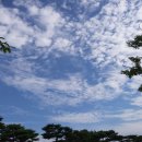 행정사사무소 이은 이미지