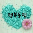 *수정*(해인님 친구분 추가첨부)울님들이랑 공주 백제문화제 살포시 발도장찍었습니다~ 이미지