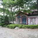 꿈의 그린 펜션 티스토리
