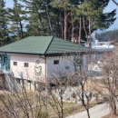 디저트39종합운동장점 이미지