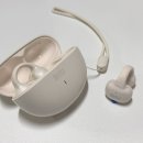 오픈정보기술(주) | 브리츠 오픈형 이어폰 Britz BZ-E09 내돈내산 후기