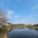 배경화면으로 딱! 혼자 보기 아까운 &#39;서울 정원 사진&#39; 공개 이미지