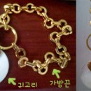 코코애견클럽 이미지