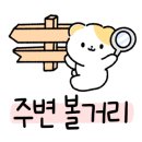 버스투어여행사 이미지