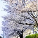 경산생활체육공원 이미지