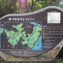 세종동_전월산 무궁화 테마공원 이미지