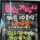 라올 이미지
