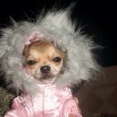 큰오랏6길 이미지