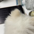 강남대로82 삼덕빌딩 앞 횡단보도 | 여름 더워요