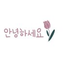 디어벌스데이 이미지