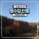 그늘막55 | 용인 아이랑 가볼 만한 곳 단풍 명소 용인외대 명수당 실시간 후기