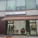 트리미용실 이미지