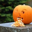 (주)박스터코리아 이미지