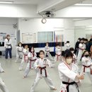 태광태권도체육관 이미지