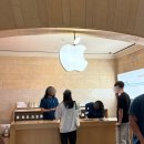 11500-19-26-08 | [미국 뉴욕 08] 아이폰17 애플 그랜드센트럴점 현지 직구(공홈 픽업 예약) 후기: 무음 카메라 득템!