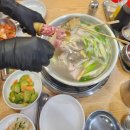 마리 | 종로 삼계탕 맛집 한민국 닭한마리 후기