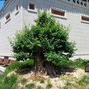 평강휴게소식당 이미지