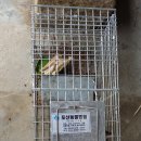 포산동물병원 이미지