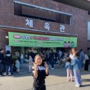 골든벨 | 초등 한글날 행사 수원 독서골든벨 참여 후기