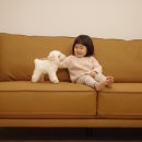 동물은내친구 | 우리아이 첫 애착인형 추천! 영국 프리미엄 애너미고스 아기 양인형 리얼 동물인형 후기