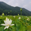 창2리 이미지